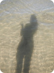 DSCN0263